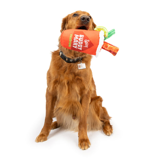 Buddy Mary Dog Toy