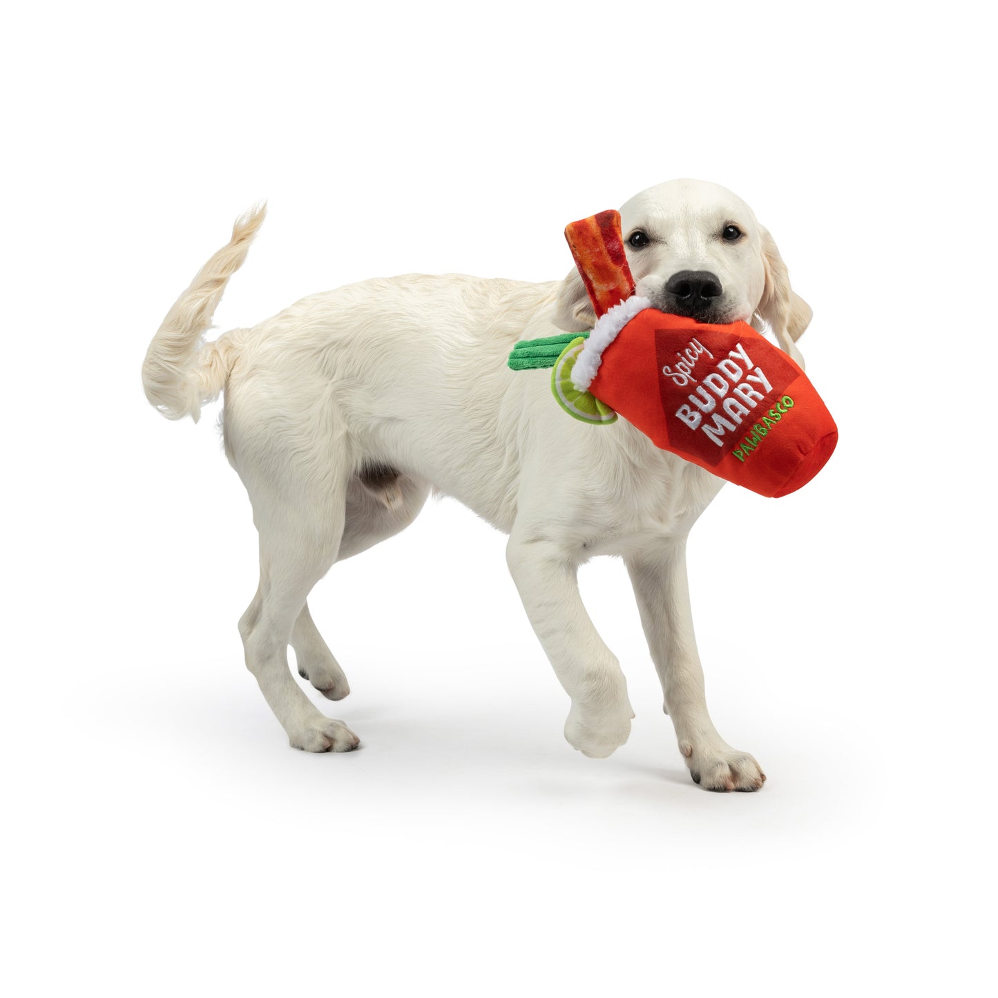 Buddy Mary Dog Toy