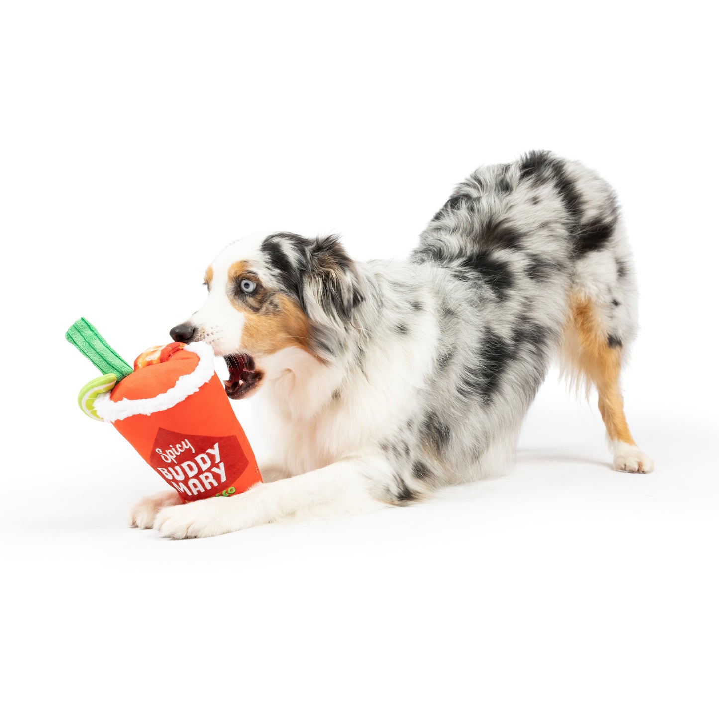 Buddy Mary Dog Toy