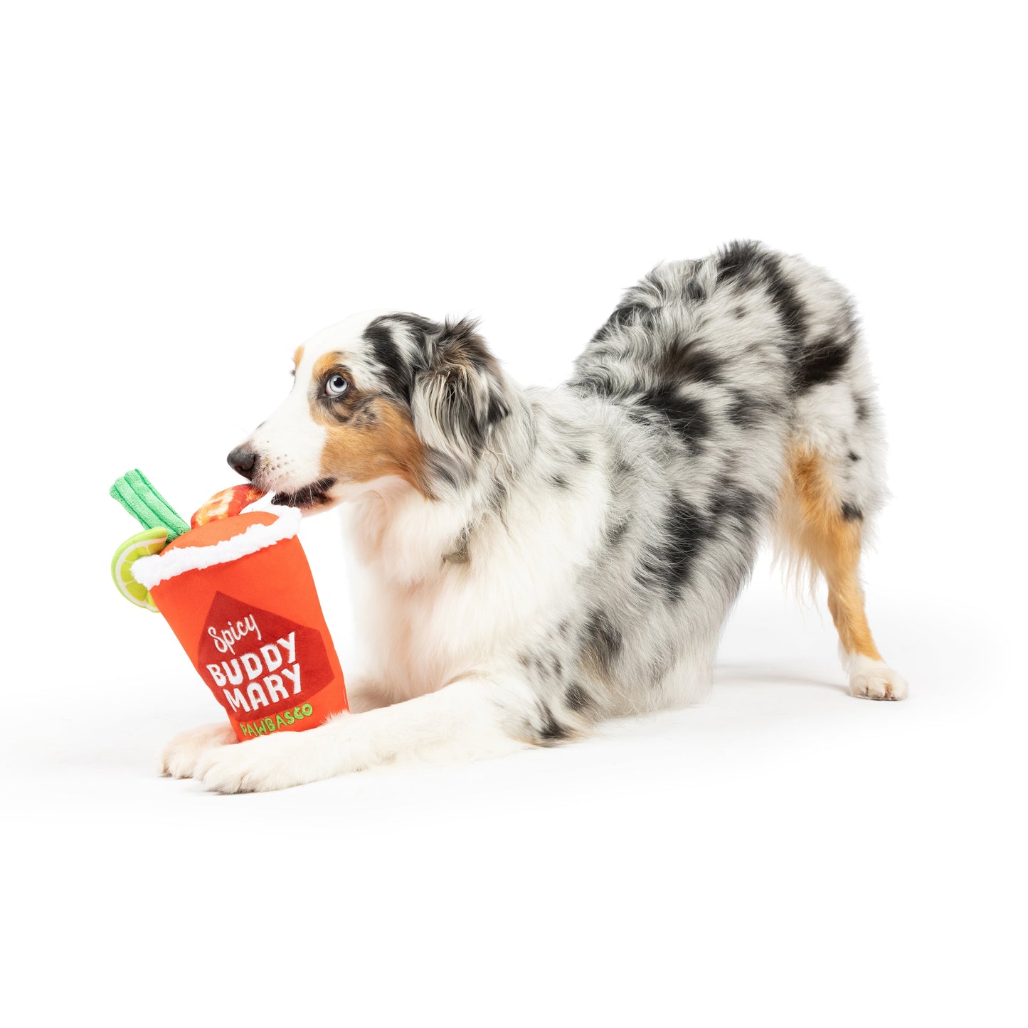 Buddy Mary Dog Toy