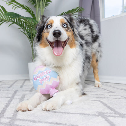 Bunny Pop