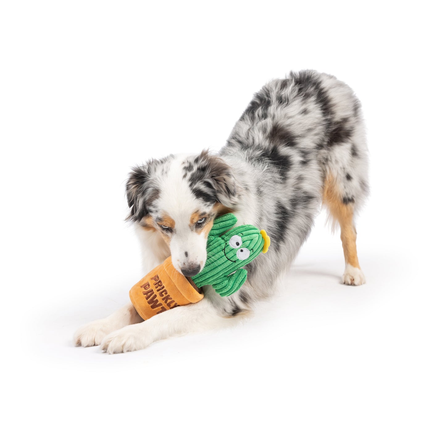 Seek 'n Treat Prickly Pawt Dog Toy
