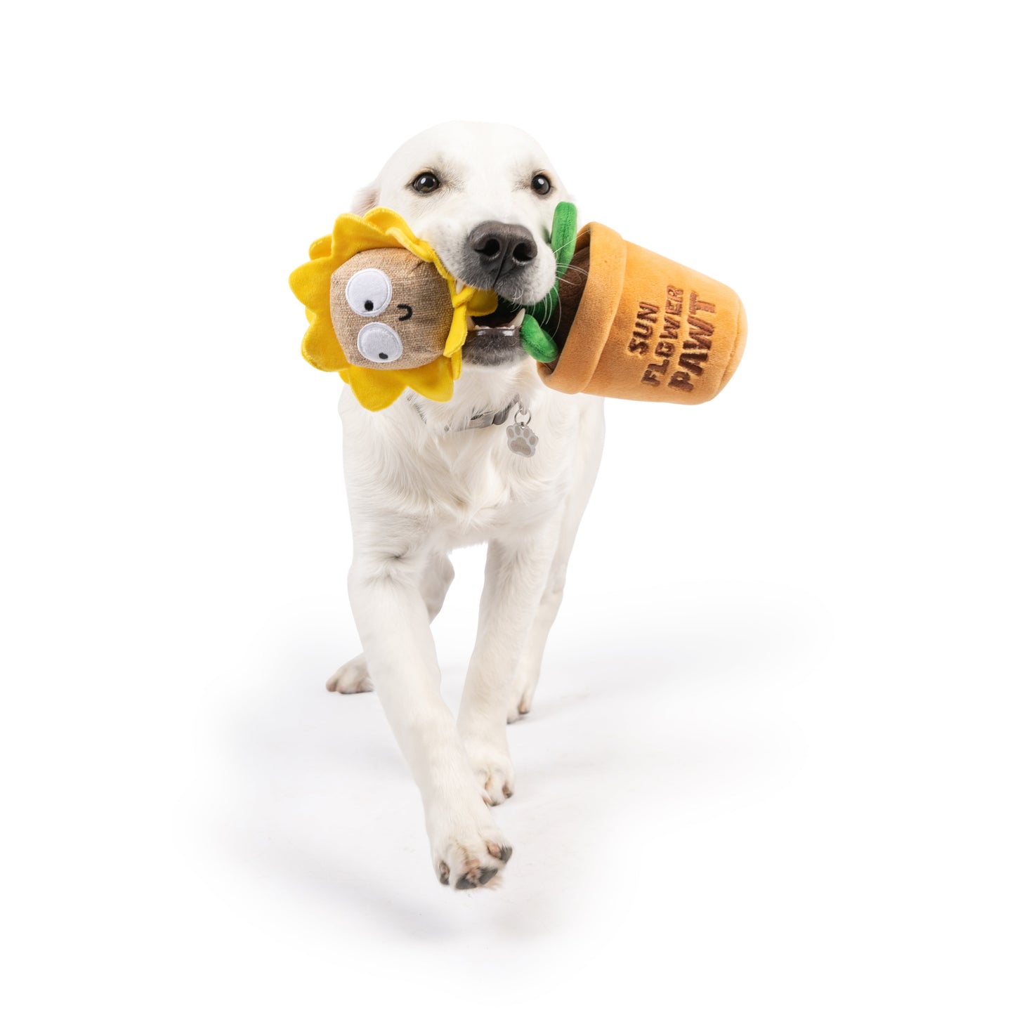 Seek 'n Treat Sunflower Pawt Dog Toy