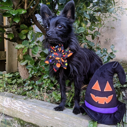 Witch Hat